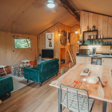 Cosy Forest Lodge Penrhos  Exterior photo