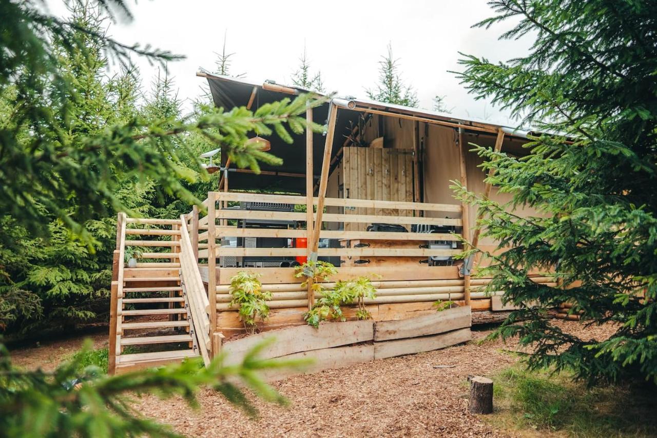 Cosy Forest Lodge Penrhos  Exterior photo